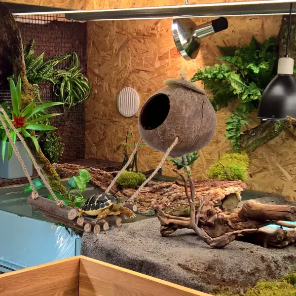 Cave Reptile House Accessory Habitat Lizard Nest Hut Leopard Gecko Hide Nature Ladder
